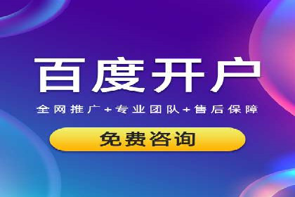 某电商平台的竞价托管SEM实践